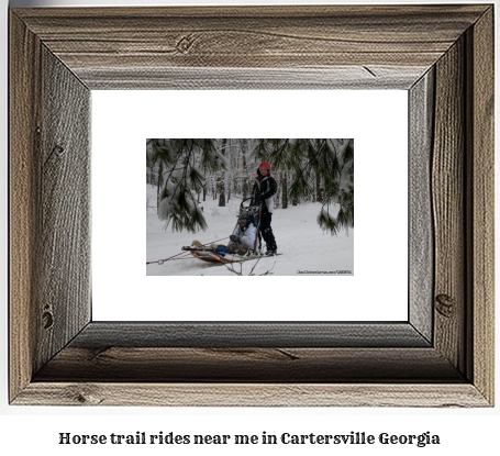 horse trail rides near me in Cartersville, Georgia